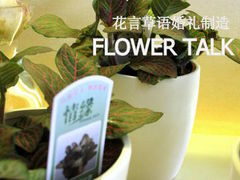 -花言草语鲜花店(灵山路店)