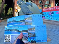 -广东惠东海龟国家级自然保护区