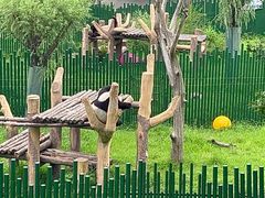 -沈阳森林动物园