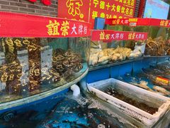 -谊荣海鲜大牌档(石湖店)