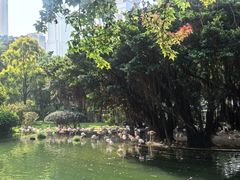 -九龙公园