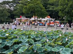 -顺峰山公园