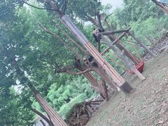 -都江堰中华大熊猫苑