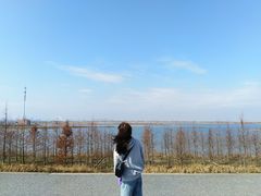 -南汇嘴观海公园