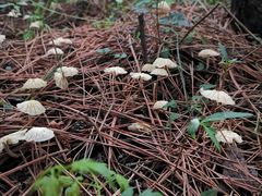 -鬼笑石后山停车场