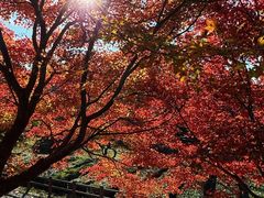 -醍醐寺