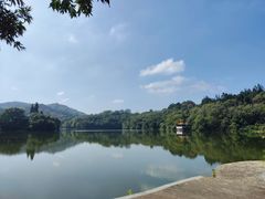 -深圳仙湖植物园
