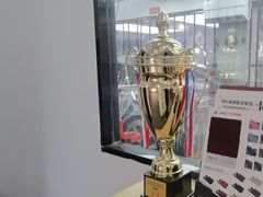 -天猫养车贴膜轻改·蓝电(优匹康桥东路店)