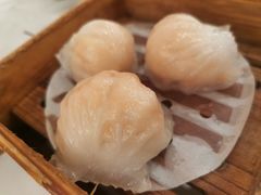 -广州酒家(昌岗地铁站店)