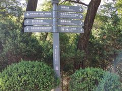 -延安杨家岭革命旧址