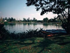 -白鹭湾湿地公园