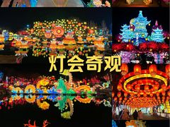 -淄博花灯齐彩城