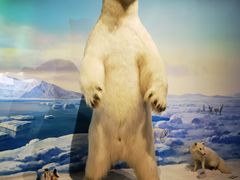 -陕西自然博物馆