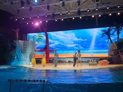 -三亚海昌梦幻海洋不夜城