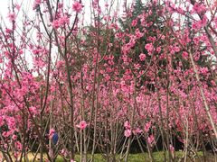 -上海市龙华烈士陵园