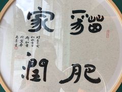 -飞行喵MR PILOT|猫舍·猫咖(静安大融城店)