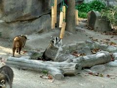 -野生动物园-停车场