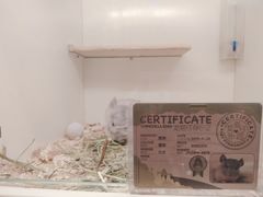 -龙猫仔乐园(惠福东路店)