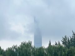 -团结湖公园