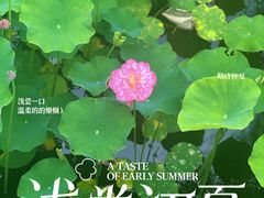 -沐仙湖湿地公园