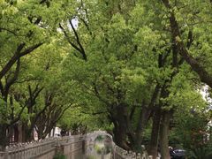 -安亭老街