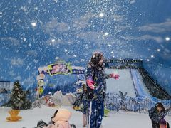 -世界之窗阿尔卑斯冰雪世界