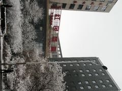 -红色盛宴酒楼(科丰桥店)
