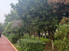 -西安汉城湖景区