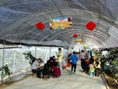 -青岛嘉禾农业科技生态园