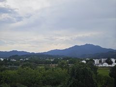 -黄牛肉馆·皖南土菜