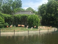 -西安秦岭野生动物园