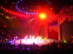 -珠海横琴长隆《卡卡虎奇遇记》