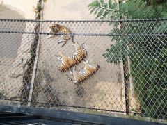 -大连森林动物园