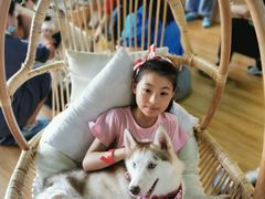 -Husky Go! 哈士奇体验馆·宠物咖啡厅狗咖