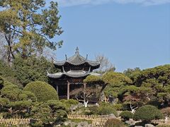 -西湖外事游船(花港观鱼码头)