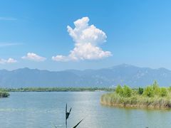 -野鸭湖国家湿地公园