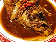 超大鱼头-旺顺阁鱼头泡饼(常营店)