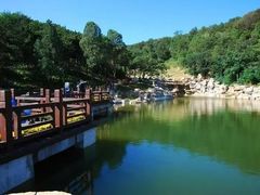 -北京西山国家森林公园