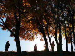 -鹫峰国家森林公园