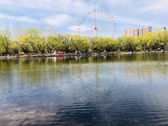 -青城公园
