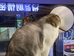 -谜盒子奇幻密室(南屏店)