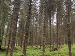 -硗碛藏寨·神木垒景区