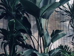 -三圣花乡旅游区