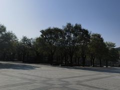 -河北省园博园