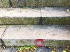 -金龙寺国家森林公园