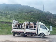 -扁都口生态休闲旅游区