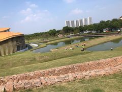 -滆湖低碳生态公园