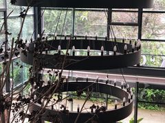 -桉树林A coffee 森林餐厅(三圣乡店)
