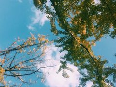 -重元寺香积厨素斋馆