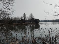 -东湖落雁景区